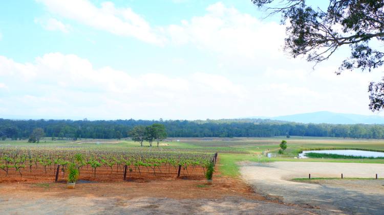 72816496_2690506021014246_6006350259800768512_n