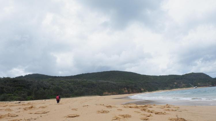 3BC2494D-7725-4334-92E4-EE4D2FE3F6AA