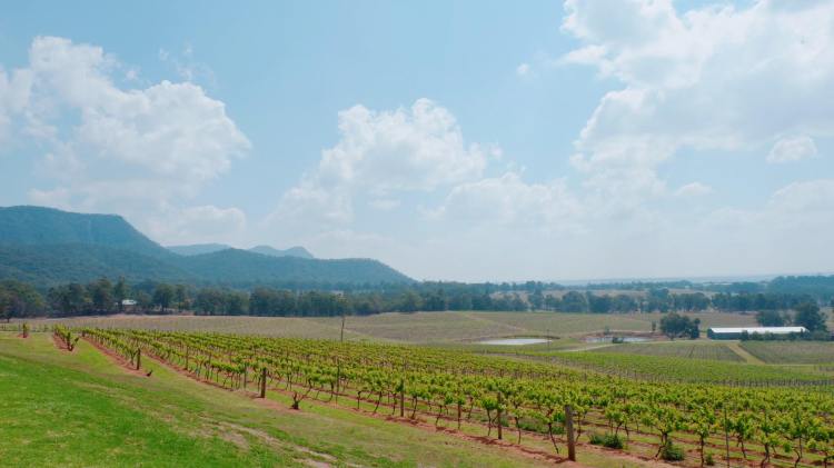 72684683_405348996799470_1706770173219831808_n